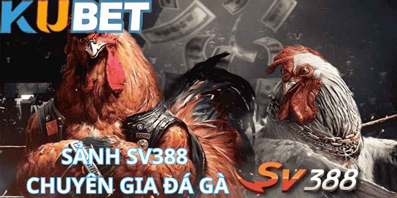 Sảnh SV388 - Chuyên Gia Đá Gà cùng Kubet Thể Thao